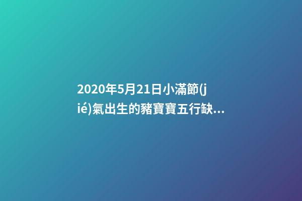 2020年5月21日小滿節(jié)氣出生的豬寶寶五行缺什么？怎么化解？ 84年5月21日五行屬什么，1984年屬鼠的五行屬什么-第1張-觀點-玄機派